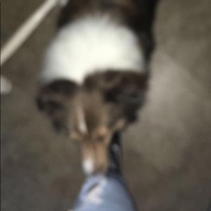 Meet your Posher, Caleb